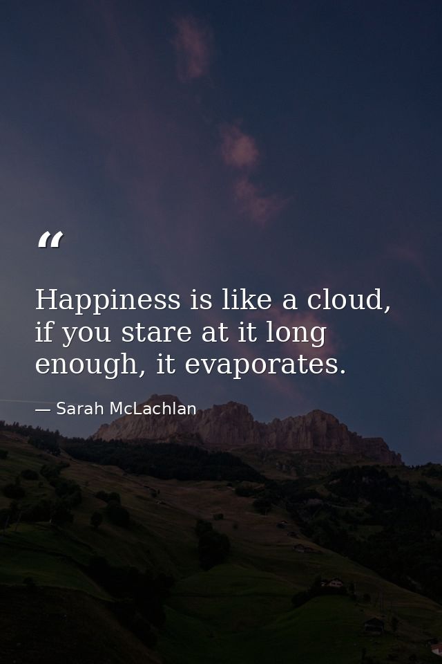 Happiness is like a cloud, if you stare at it long enough, it evaporates. — Sarah McLachlan