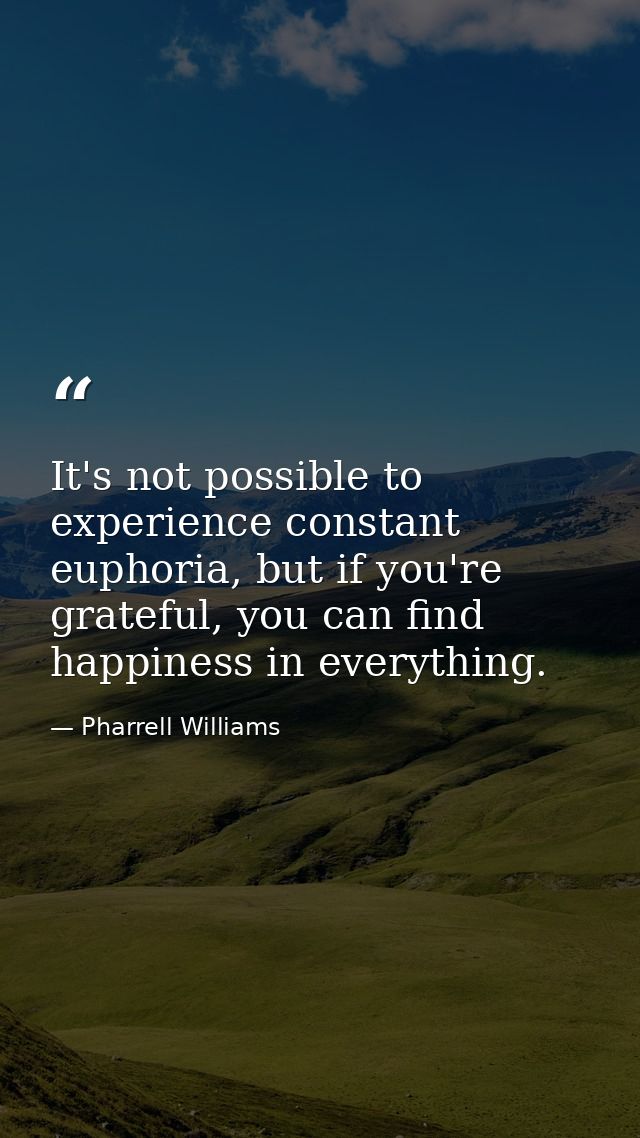It's not possible to experience constant euphoria, but if you're grateful, you can find happiness in everything. — Pharrell Williams