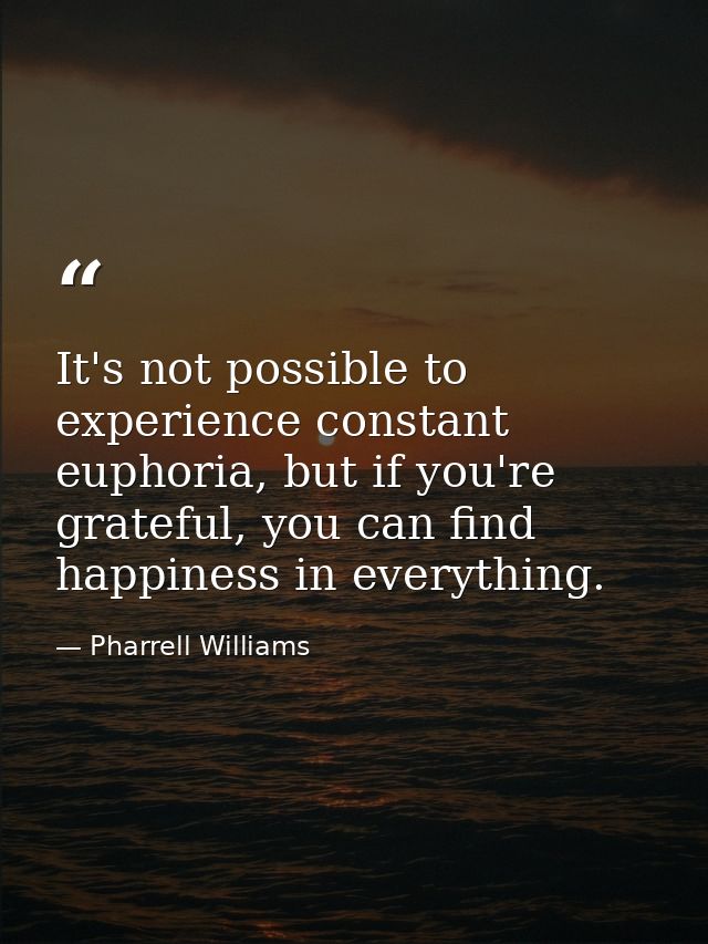 It's not possible to experience constant euphoria, but if you're grateful, you can find happiness in everything. — Pharrell Williams