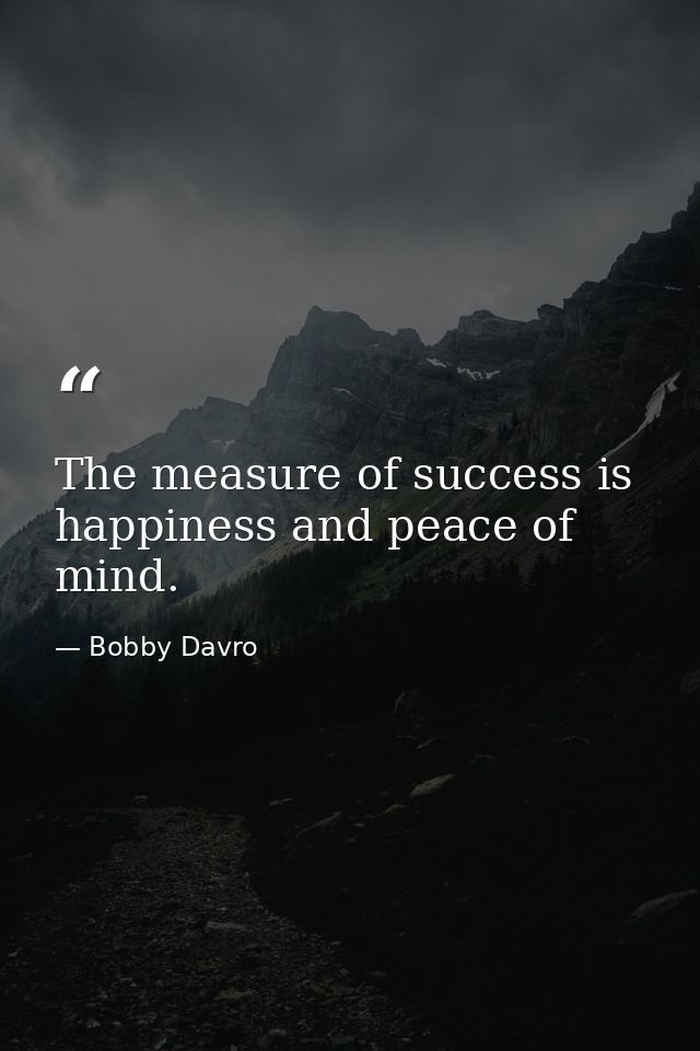The measure of success is happiness and peace of mind. — Bobby Davro