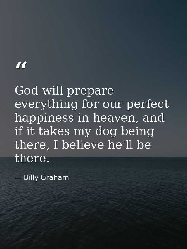 God will prepare everything for our perfect happiness in heaven, and if it takes my dog being there, I believe he'll be  — Billy Graham