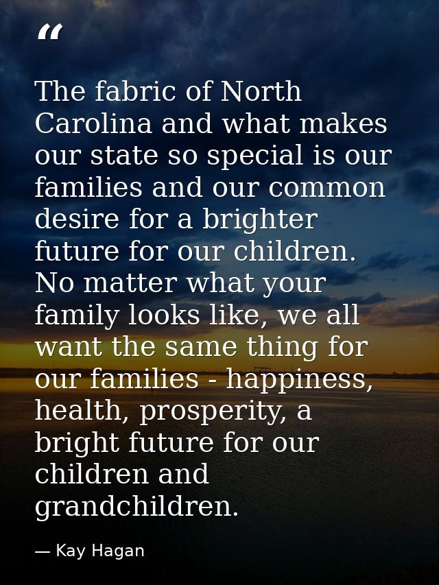 The fabric of North Carolina and what makes our state so special is our families and our common desire for a brighter fu — Kay Hagan
