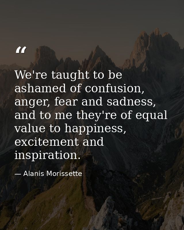 We're taught to be ashamed of confusion, anger, fear and sadness, and to me they're of equal value to happiness, excitem — Alanis Morissette