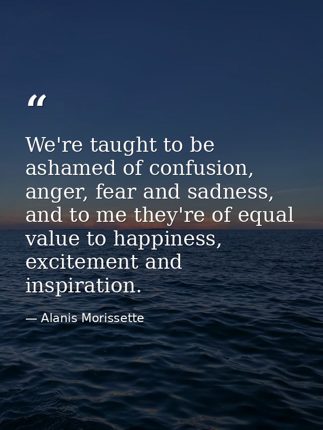 We're taught to be ashamed of confusion, anger, fear and sadness, and to me they're of equal value to happiness, excitem — Alanis Morissette