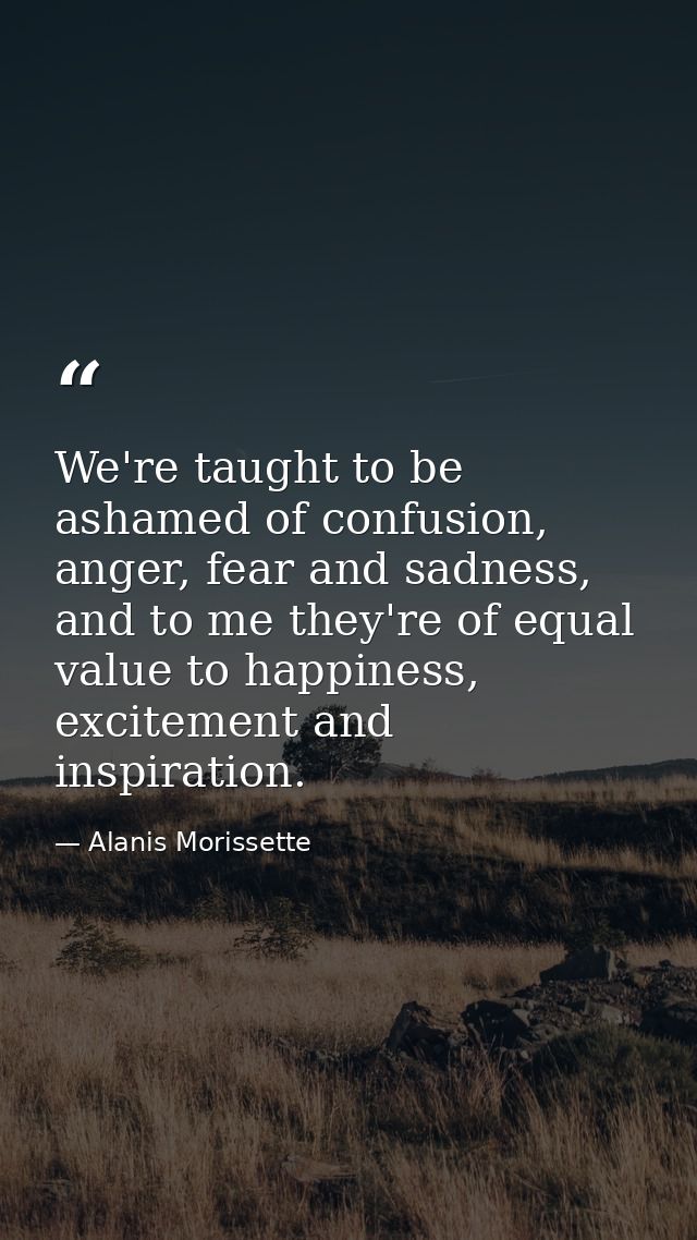 We're taught to be ashamed of confusion, anger, fear and sadness, and to me they're of equal value to happiness, excitem — Alanis Morissette
