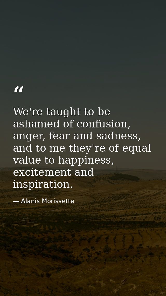 We're taught to be ashamed of confusion, anger, fear and sadness, and to me they're of equal value to happiness, excitem — Alanis Morissette