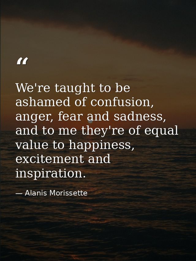 We're taught to be ashamed of confusion, anger, fear and sadness, and to me they're of equal value to happiness, excitem — Alanis Morissette