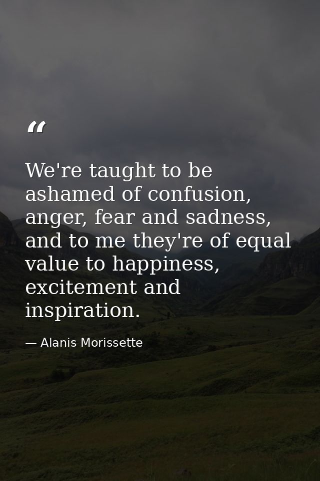 We're taught to be ashamed of confusion, anger, fear and sadness, and to me they're of equal value to happiness, excitem — Alanis Morissette