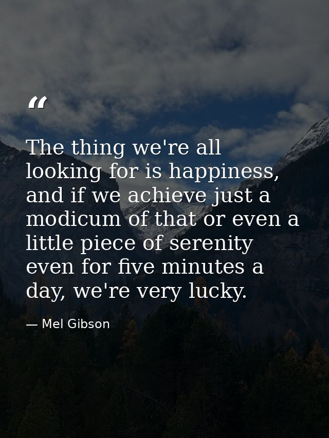 The thing we're all looking for is happiness, and if we achieve just a modicum of that or even a little piece of serenit — Mel Gibson