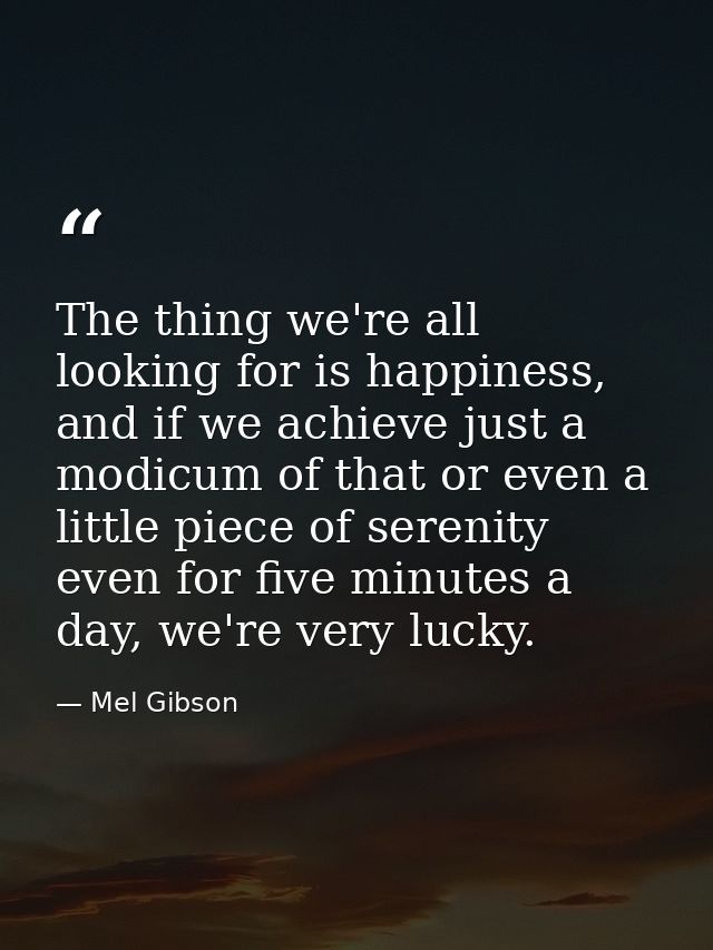 The thing we're all looking for is happiness, and if we achieve just a modicum of that or even a little piece of serenit — Mel Gibson