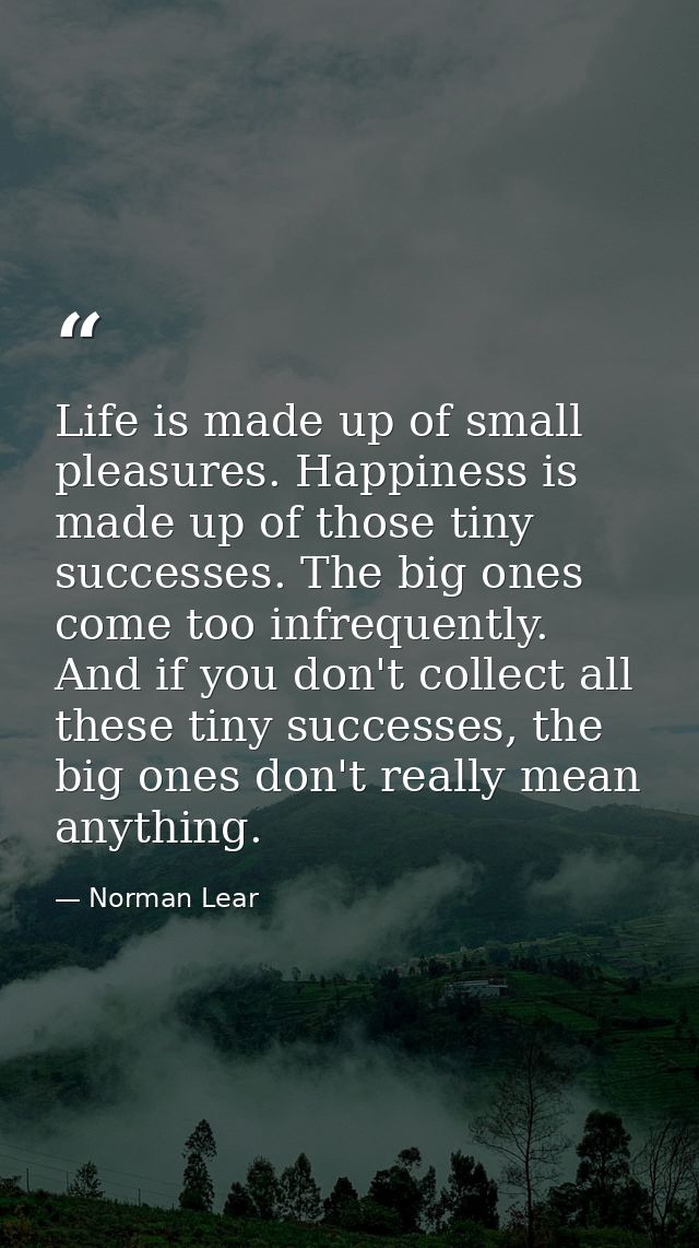Life is made up of small pleasures. Happiness is made up of those tiny successes. The big ones come too infrequently. An — Norman Lear