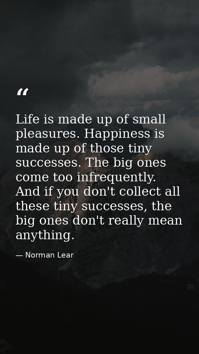 Life is made up of small pleasures. Happiness is made up of those tiny successes. The big ones come too infrequently. An — Norman Lear