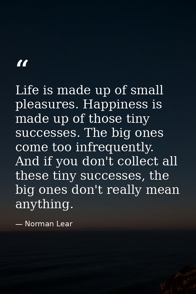 Life is made up of small pleasures. Happiness is made up of those tiny successes. The big ones come too infrequently. An — Norman Lear