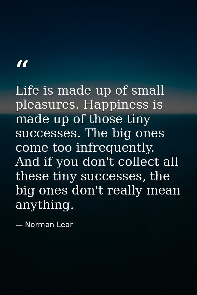 Life is made up of small pleasures. Happiness is made up of those tiny successes. The big ones come too infrequently. An — Norman Lear