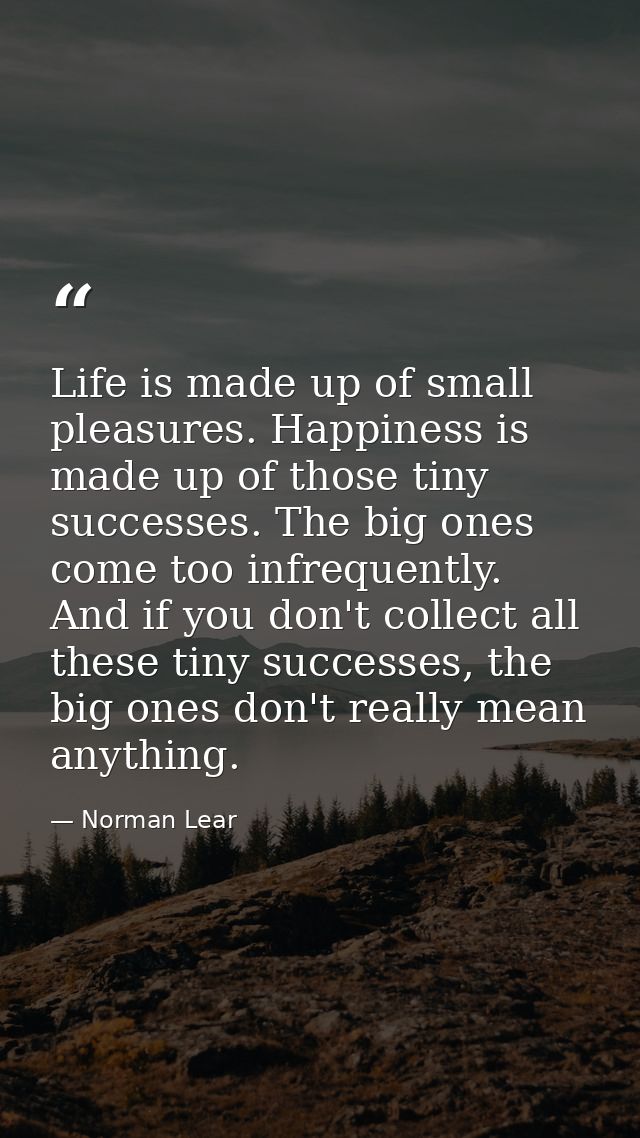 Life is made up of small pleasures. Happiness is made up of those tiny successes. The big ones come too infrequently. An — Norman Lear