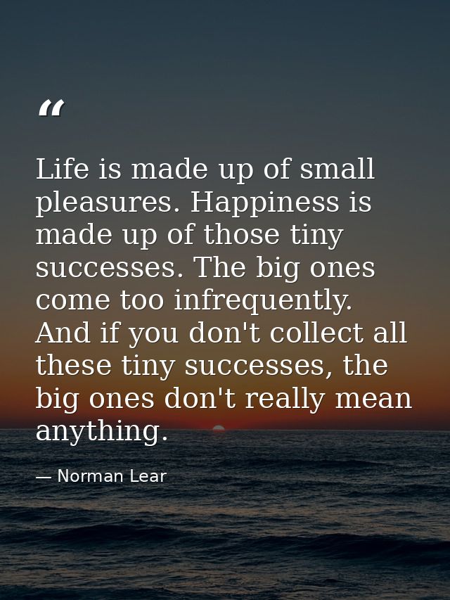 Life is made up of small pleasures. Happiness is made up of those tiny successes. The big ones come too infrequently. An — Norman Lear
