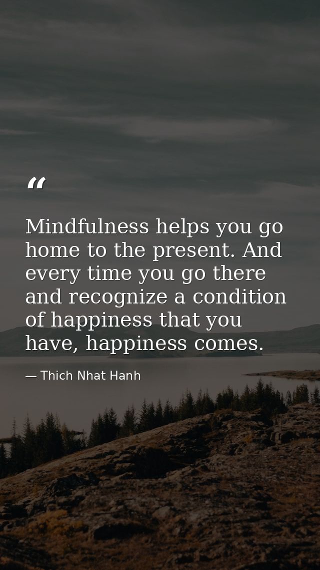 Mindfulness helps you go home to the present. And every time you go there and recognize a condition of happiness that yo — Thich Nhat Hanh