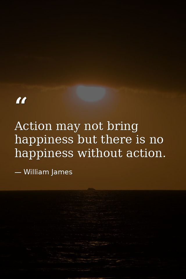 Action may not bring happiness but there is no happiness without action. — William James