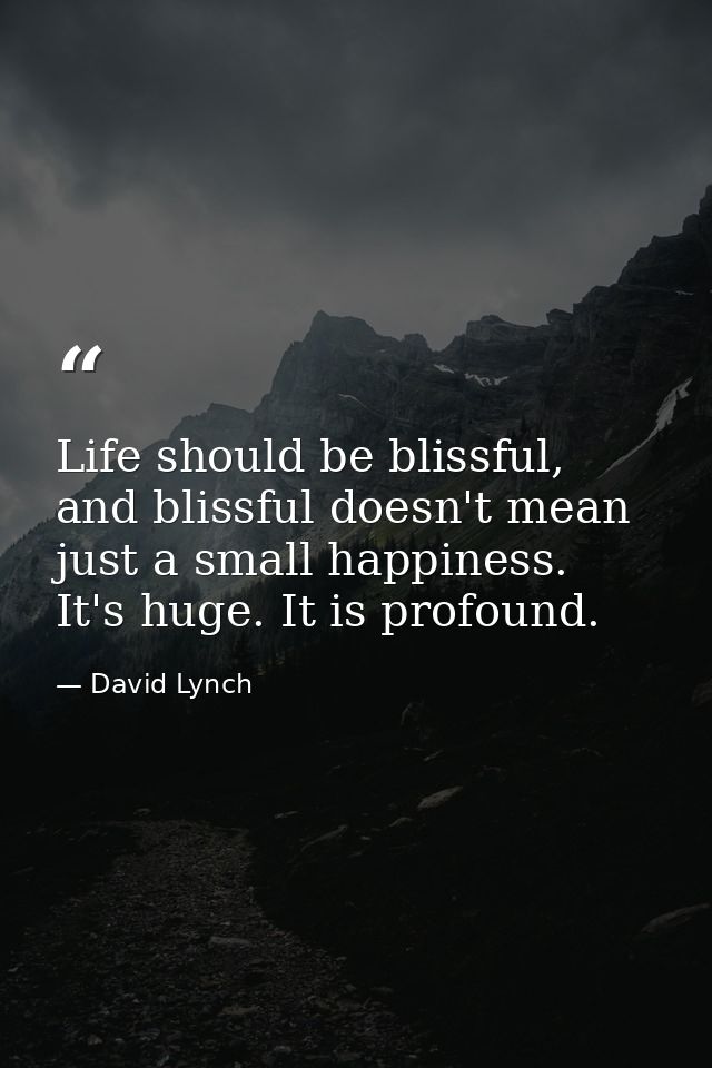Life should be blissful, and blissful doesn't mean just a small happiness. It's huge. It is profound. — David Lynch