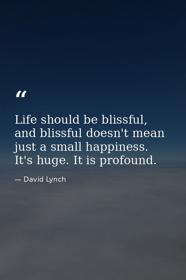 Life should be blissful, and blissful doesn't mean just a small happiness. It's huge. It is profound. — David Lynch