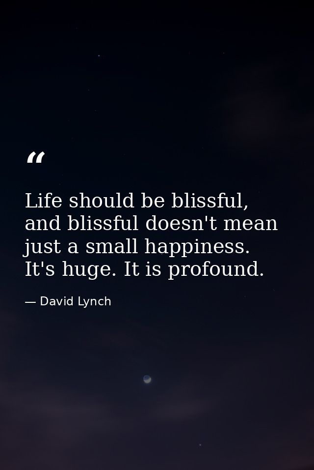 Life should be blissful, and blissful doesn't mean just a small happiness. It's huge. It is profound. — David Lynch