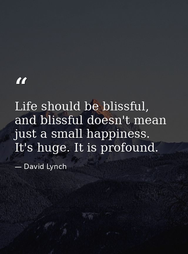 Life should be blissful, and blissful doesn't mean just a small happiness. It's huge. It is profound. — David Lynch