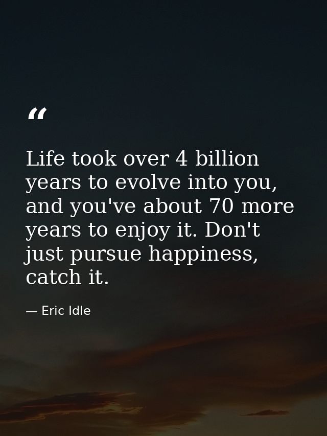 Life took over 4 billion years to evolve into you, and you've about 70 more years to enjoy it. Don't just pursue happine — Eric Idle