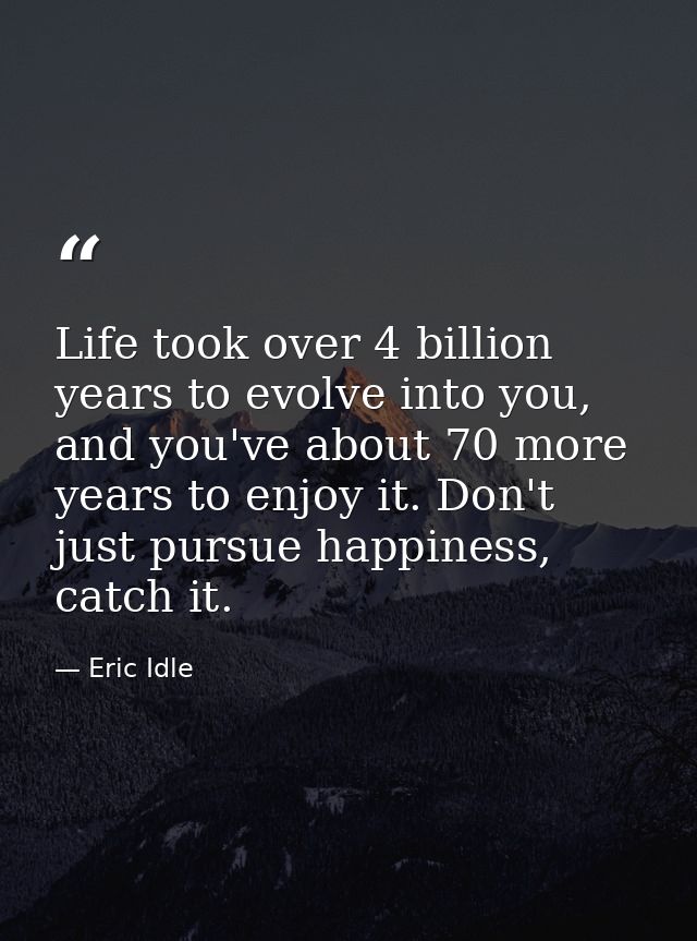 Life took over 4 billion years to evolve into you, and you've about 70 more years to enjoy it. Don't just pursue happine — Eric Idle