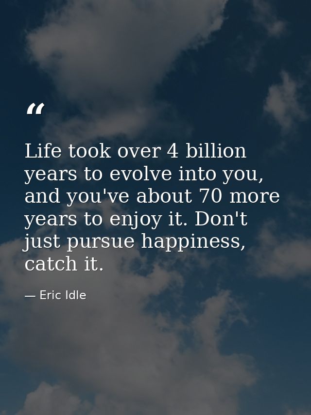 Life took over 4 billion years to evolve into you, and you've about 70 more years to enjoy it. Don't just pursue happine — Eric Idle