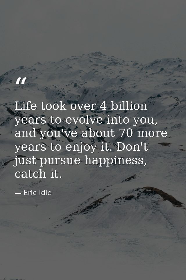 Life took over 4 billion years to evolve into you, and you've about 70 more years to enjoy it. Don't just pursue happine — Eric Idle