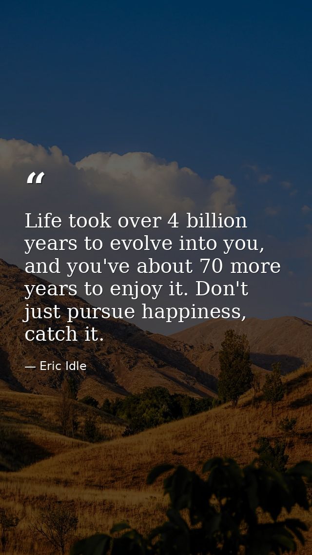 Life took over 4 billion years to evolve into you, and you've about 70 more years to enjoy it. Don't just pursue happine — Eric Idle
