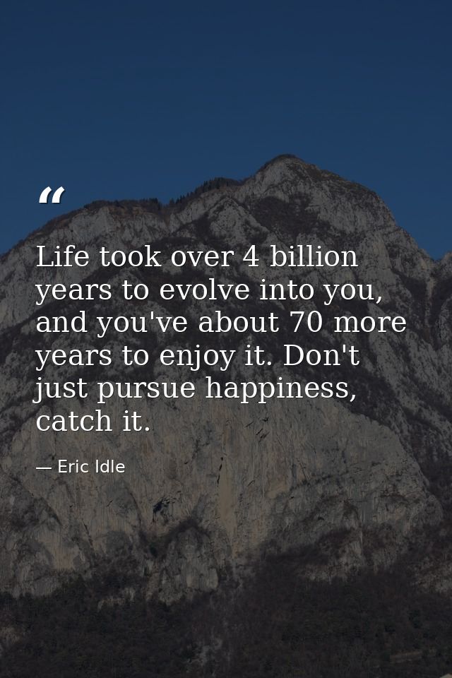 Life took over 4 billion years to evolve into you, and you've about 70 more years to enjoy it. Don't just pursue happine — Eric Idle