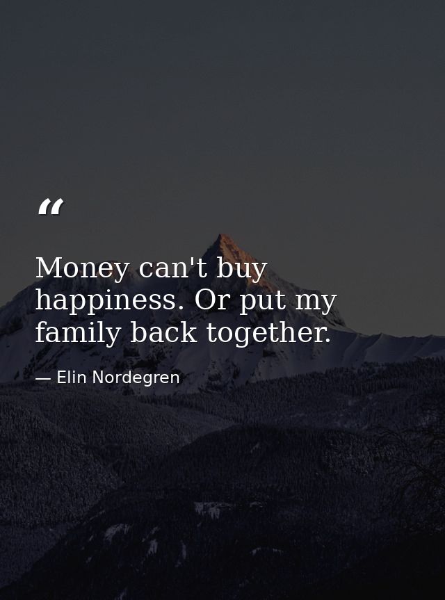 Money can't buy happiness. Or put my family back together. — Elin Nordegren