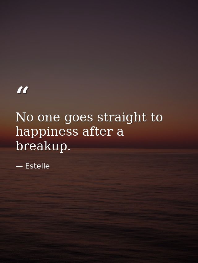 No one goes straight to happiness after a breakup. — Estelle