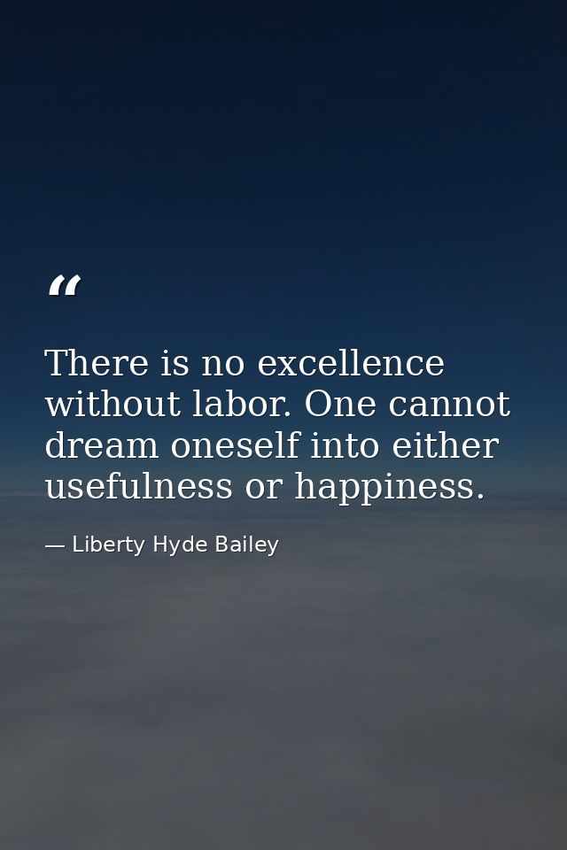 There is no excellence without labor. One cannot dream oneself into either usefulness or happiness. — Liberty Hyde Bailey