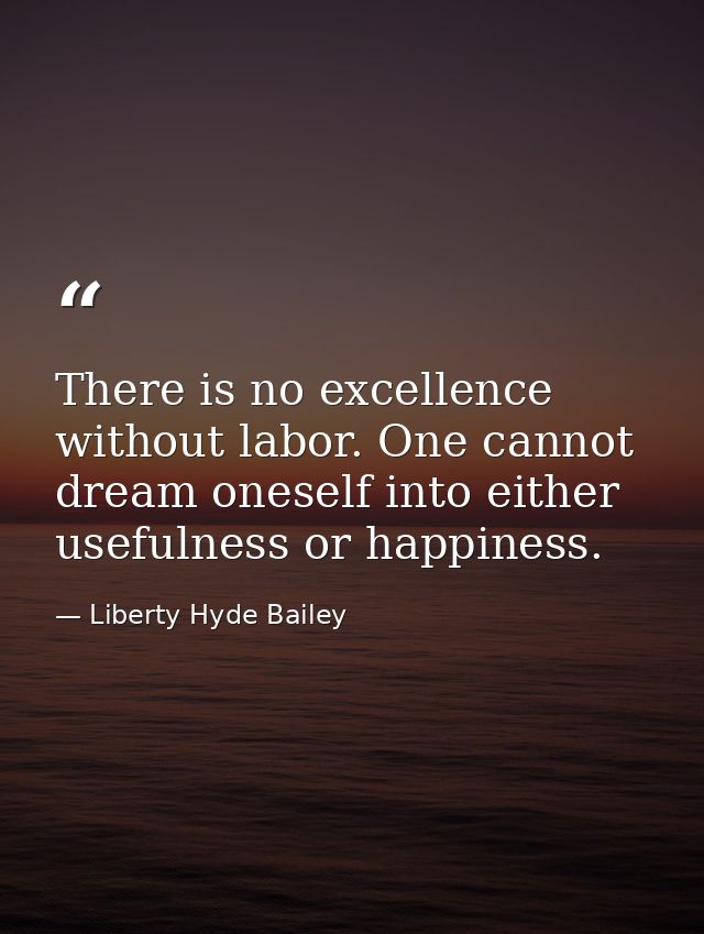 There is no excellence without labor. One cannot dream oneself into either usefulness or happiness. — Liberty Hyde Bailey