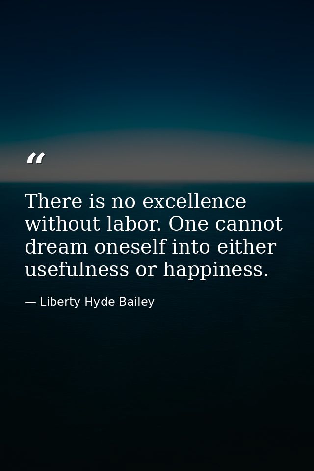 There is no excellence without labor. One cannot dream oneself into either usefulness or happiness. — Liberty Hyde Bailey