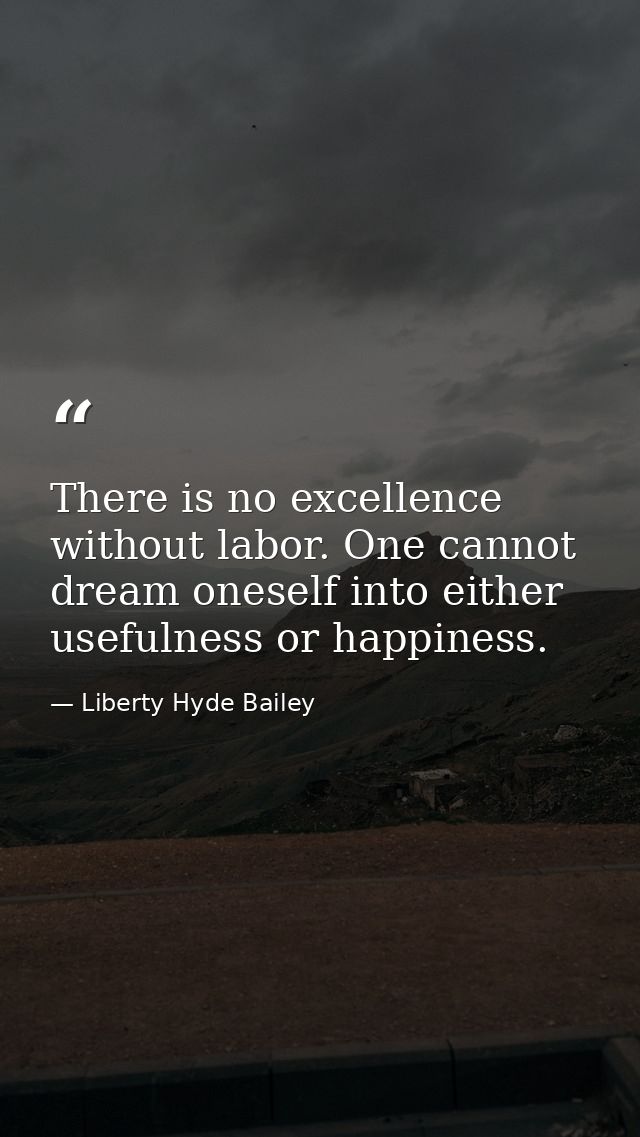 There is no excellence without labor. One cannot dream oneself into either usefulness or happiness. — Liberty Hyde Bailey