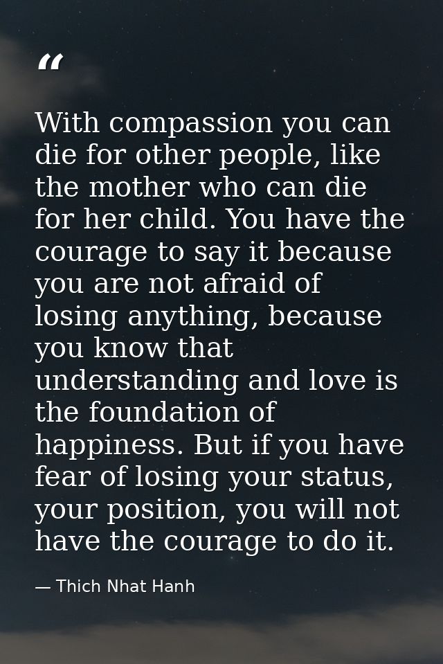 With compassion you can die for other people, like the mother who can die for her child. You have the courage to say it  — Thich Nhat Hanh