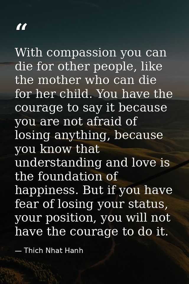 With compassion you can die for other people, like the mother who can die for her child. You have the courage to say it  — Thich Nhat Hanh