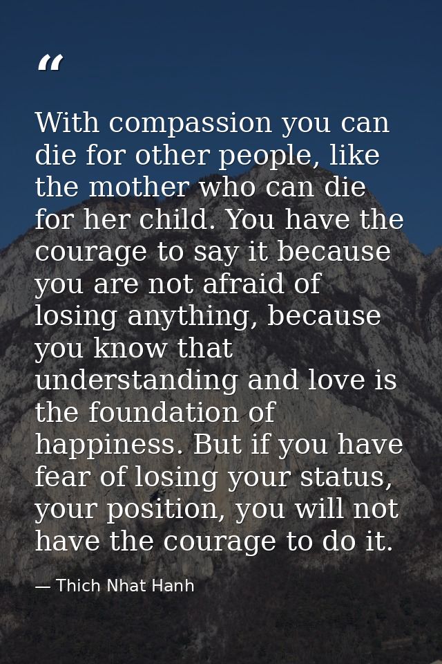 With compassion you can die for other people, like the mother who can die for her child. You have the courage to say it  — Thich Nhat Hanh