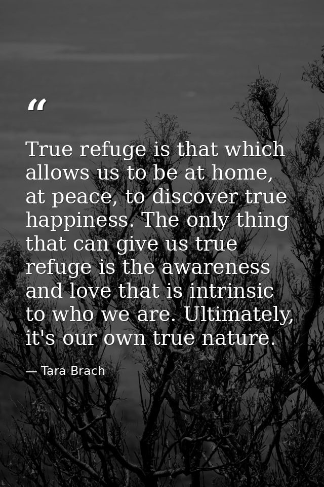 True refuge is that which allows us to be at home, at peace, to discover true happiness. The only thing that can give us — Tara Brach