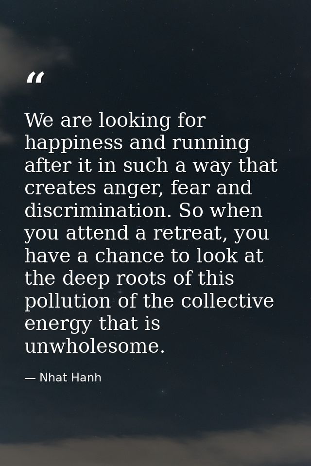 We are looking for happiness and running after it in such a way that creates anger, fear and discrimination. So when you — Nhat Hanh