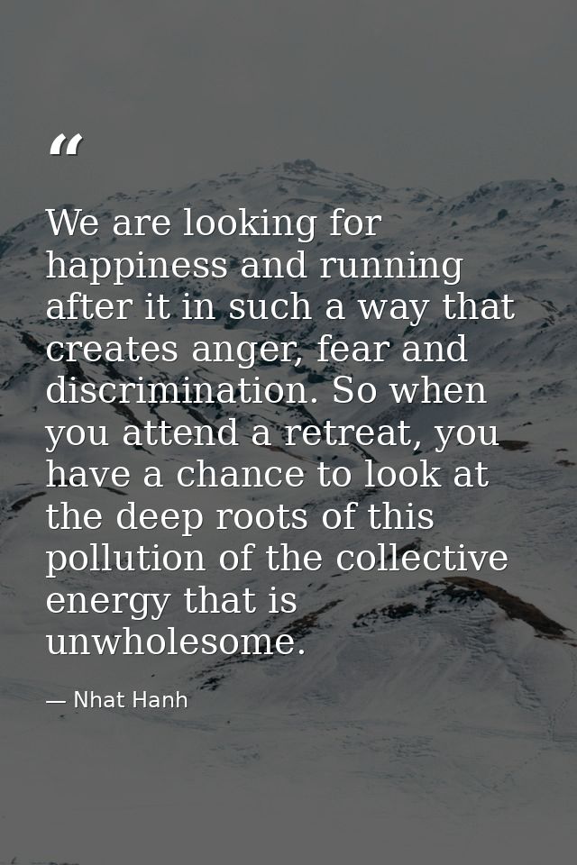 We are looking for happiness and running after it in such a way that creates anger, fear and discrimination. So when you — Nhat Hanh