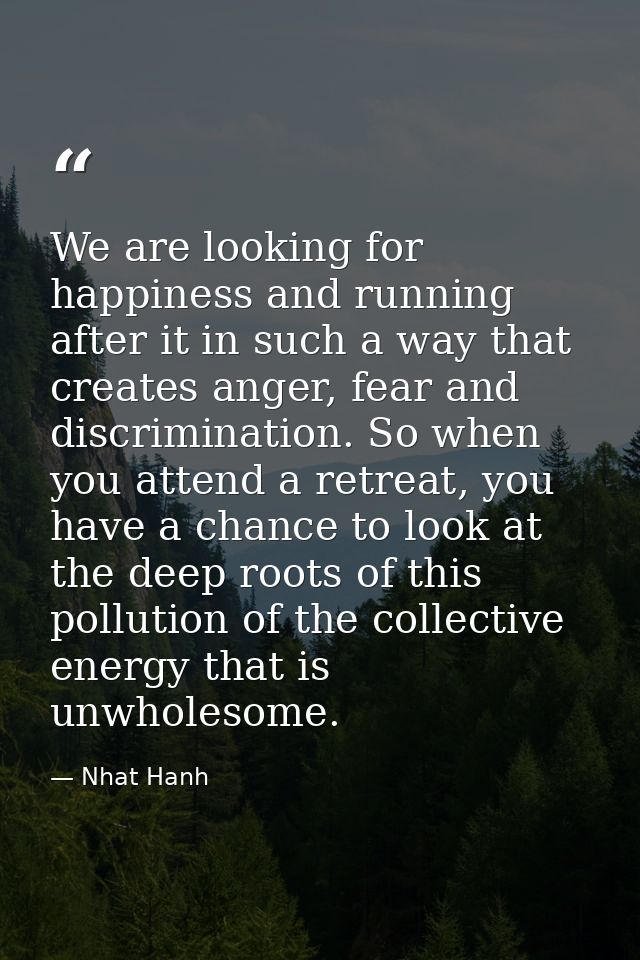 We are looking for happiness and running after it in such a way that creates anger, fear and discrimination. So when you — Nhat Hanh