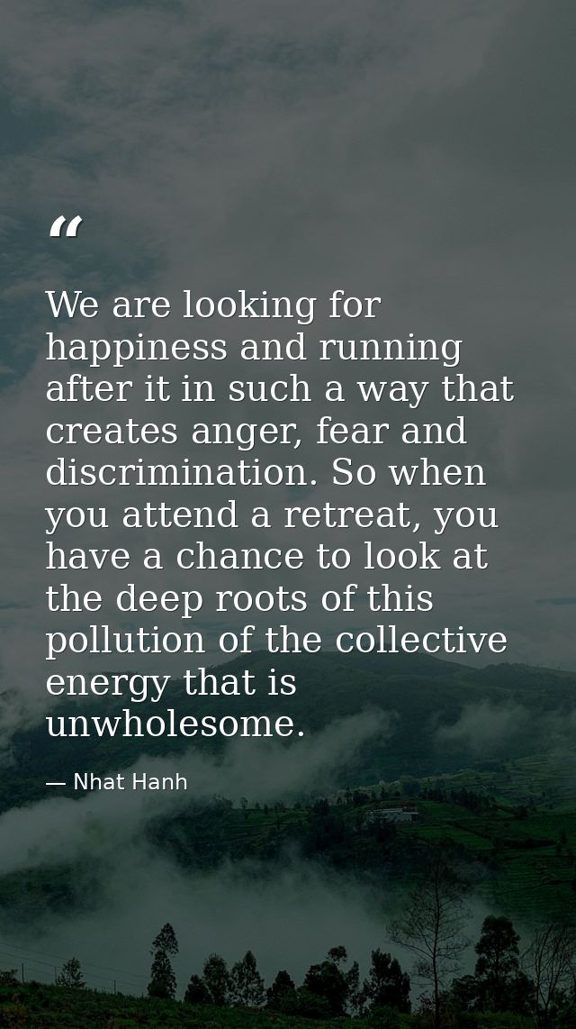 We are looking for happiness and running after it in such a way that creates anger, fear and discrimination. So when you — Nhat Hanh