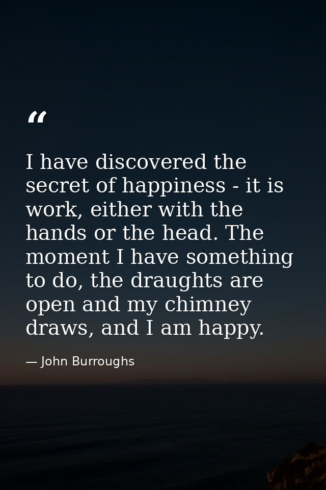 I have discovered the secret of happiness - it is work, either with the hands or the head. The moment I have something t — John Burroughs