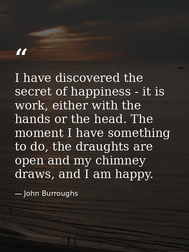 I have discovered the secret of happiness - it is work, either with the hands or the head. The moment I have something t — John Burroughs