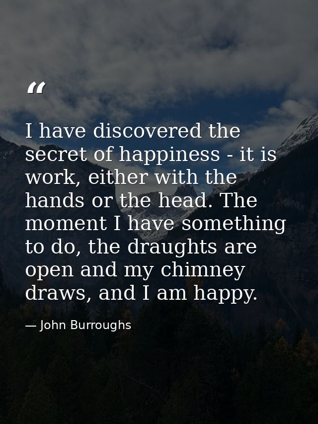 I have discovered the secret of happiness - it is work, either with the hands or the head. The moment I have something t — John Burroughs