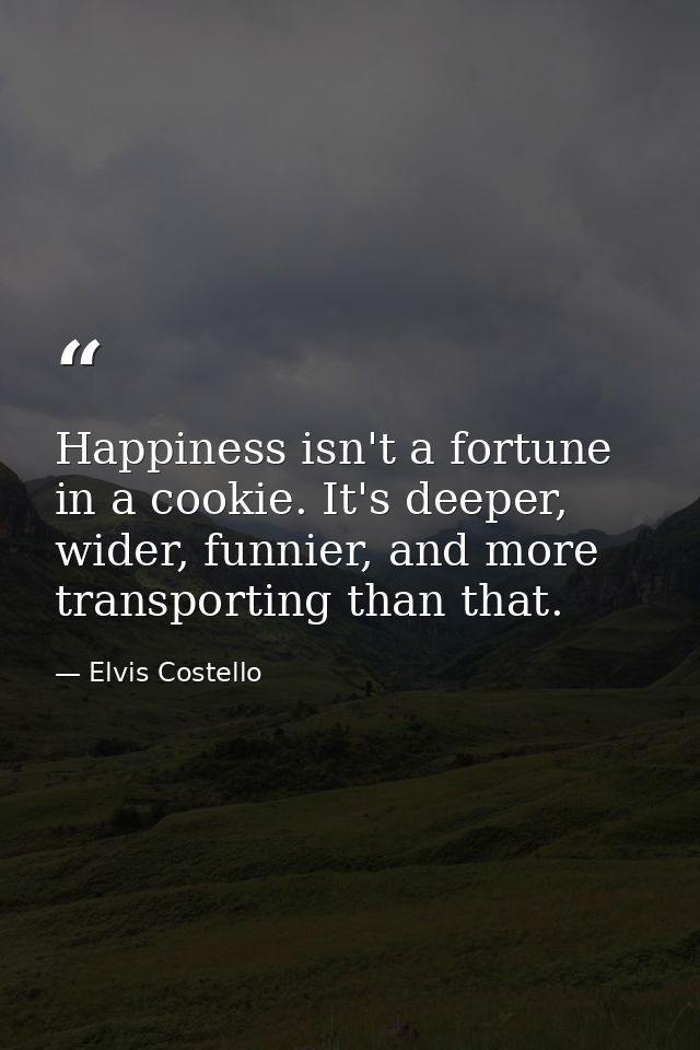 Happiness isn't a fortune in a cookie. It's deeper, wider, funnier, and more transporting than that. — Elvis Costello